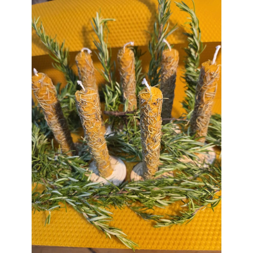 Lot de 7 Bougies Rituelles au Romarin 13 cm