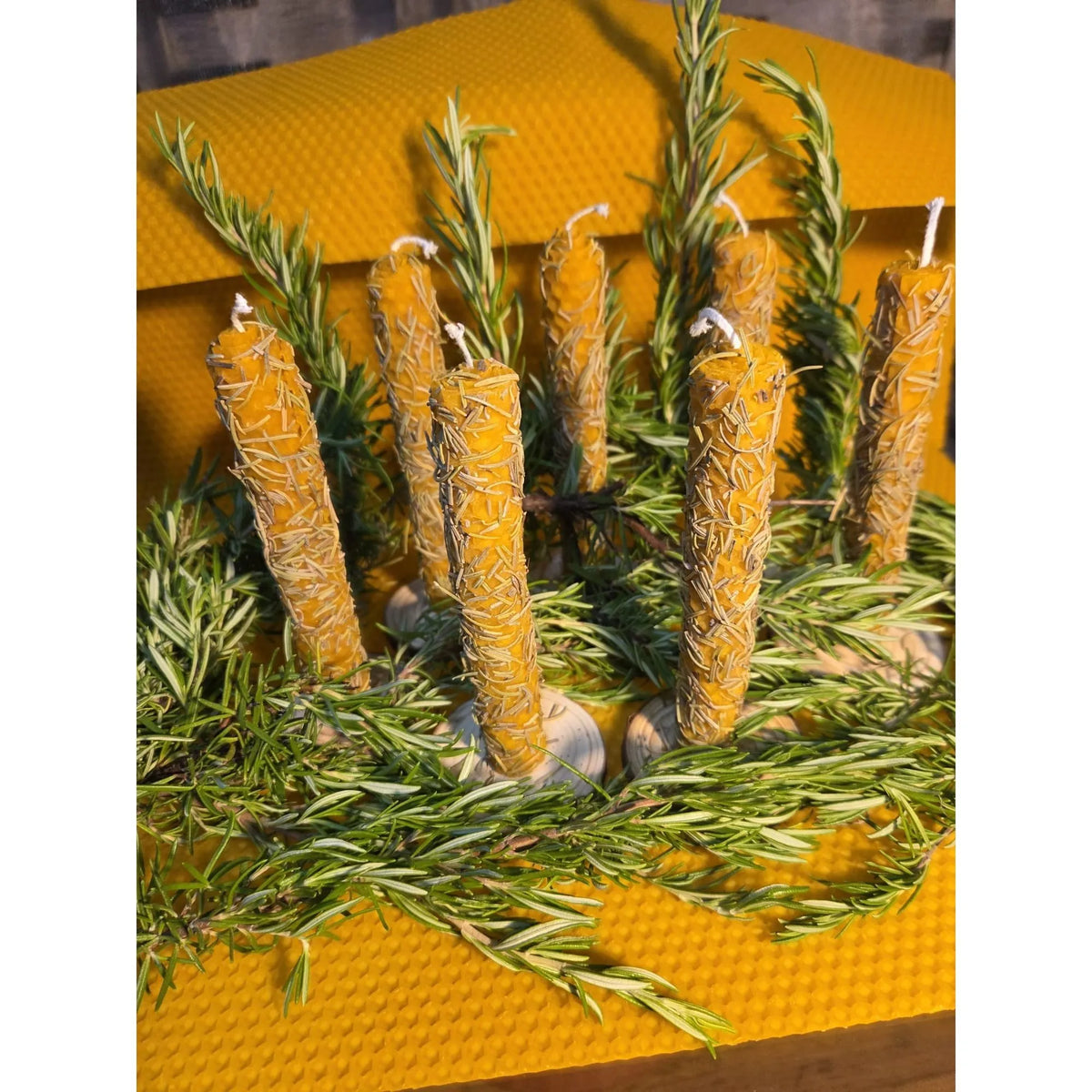 Lot de 7 Bougies Rituelles au Romarin 13 cm
